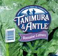 Tanimura-Antel-romaine-lettuce Tanimura-Antel-romaine-lettuce