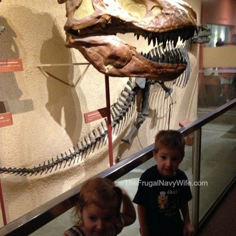 They were a bit scared with how big a T-Rex head was compared to them!