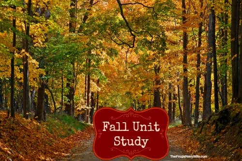 Fall unit Study