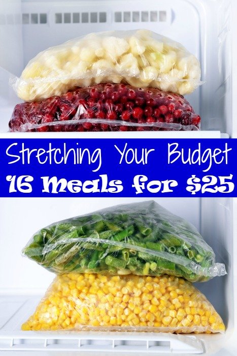 Stretching Your Budget - 16 Meals for $25