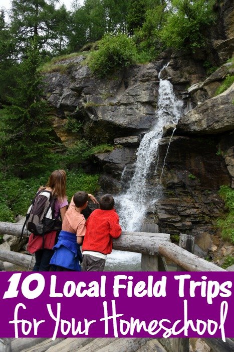 10 Local Field Trips for Your Homeschool