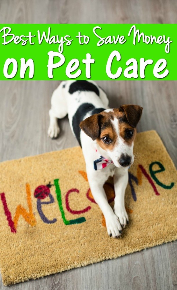 Frugal Pet Care 101