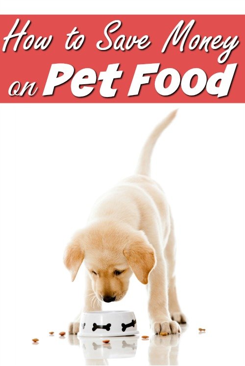 How to Save Money on Pet Food