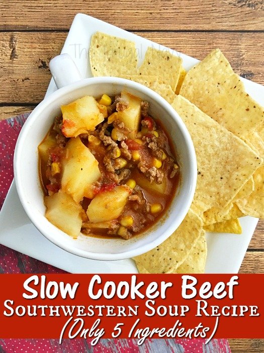 Slow Cooker Beef Southwestern Soup Recipe (Only 5 Ingredients)