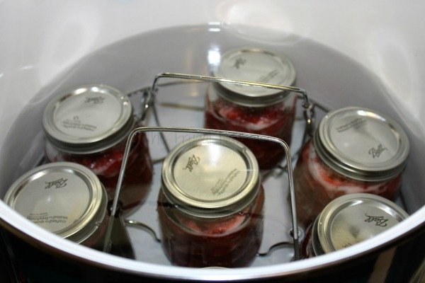 Easy Homemade Blueberry Syrup Recipe Canning
