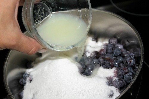 Easy Homemade Blueberry Syrup Recipe Ingredient Mix