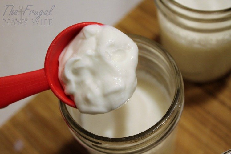 Looking for a great easy breakfast? This Instant Pot Yogurt recipe is for you! Pressure cooker yogurt isn't as hard as you might think!