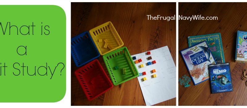 What is a Unit Study? Plus a Few Ideas