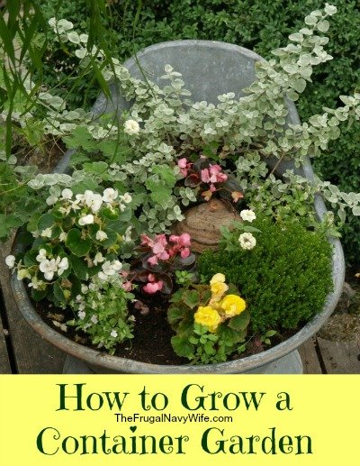 How to Grow a Container Garden