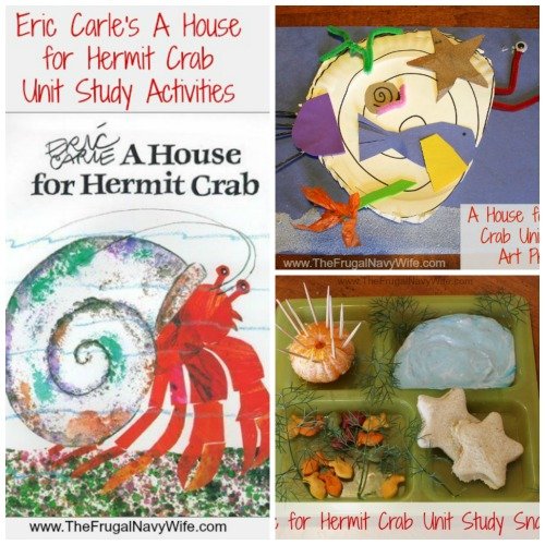 A House for Hermit Crab Unit Study