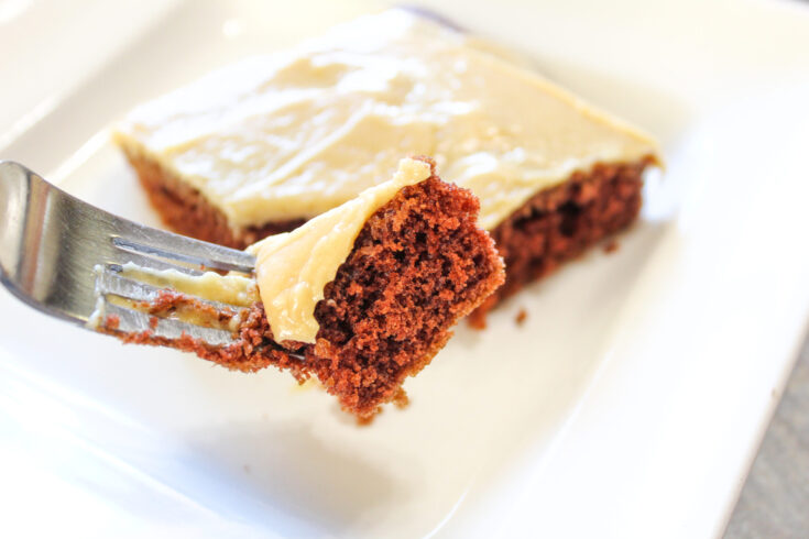 Peanut Butter Texas Sheet Cake