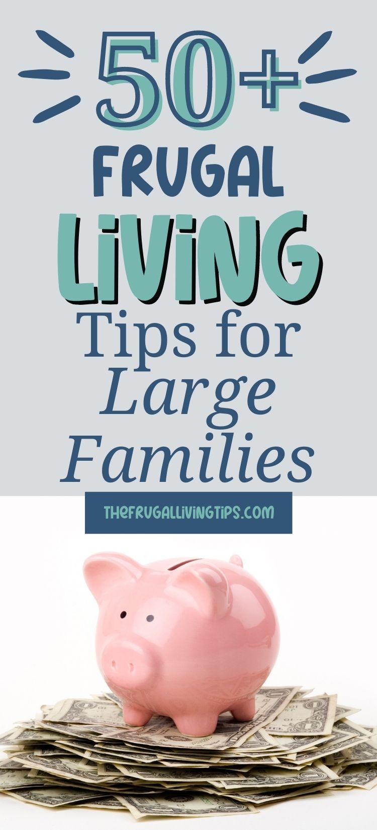 https://www.thefrugalnavywife.com/wp-content/uploads/2016/02/50-Frugal-Living-Tips-for-Large-Families-Pin.jpg