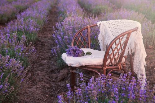 Original wedding decoration in lavender flowers