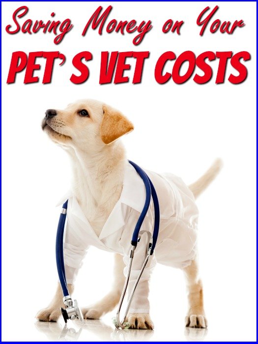 Saving Money on Your Puppy’s Vet Costs