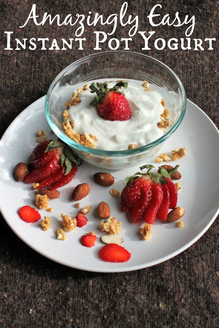 How To Make Homemade Yogurt - The Frugal Girl