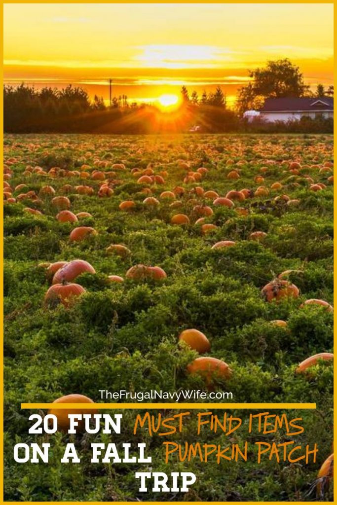 Kids love exploring pumpkin patches and enjoying the seasonal items. Consider these 20 items to spy on a fall pumpkin patch trip this year. #frugalnavywife #falladventures #pumpkinpatch #ispygame #kidsactivities #familyadventures | Pumpkin Patch | Family Fun | Fall | Pumpkin Patch Ideas | I Spy Games for kids | Kids Activities | Fall Kids Activities 