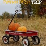 Kids love exploring pumpkin patches and enjoying the seasonal items. Consider these 20 items to spy on a fall pumpkin patch trip this year. #frugalnavywife #falladventures #pumpkinpatch #ispygame #kidsactivities #familyadventures | Pumpkin Patch | Family Fun | Fall | Pumpkin Patch Ideas | I Spy Games for kids | Kids Activities | Fall Kids Activities