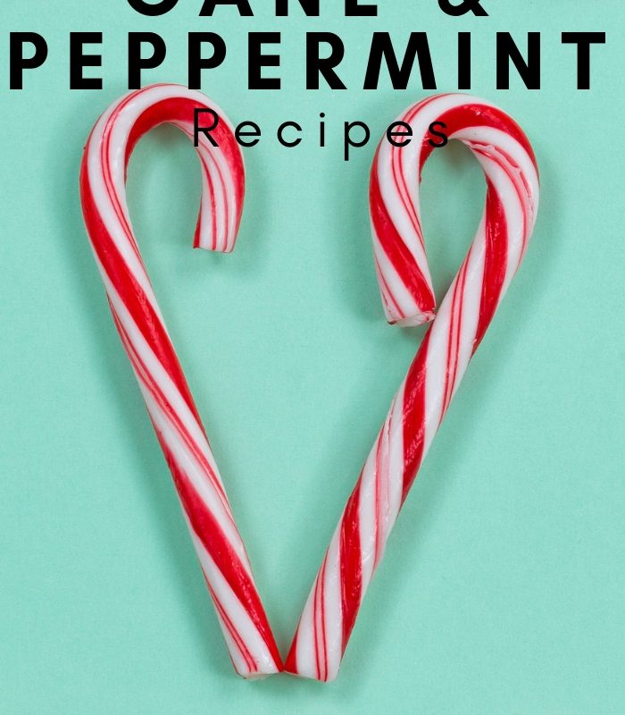 23 of The Best Candy Cane and Peppermint Recipes