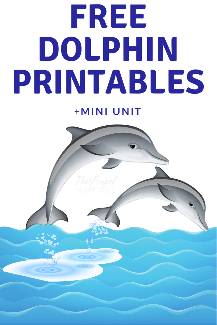 Learning about Dolphins with Let's Find Out Science Dolphin Talk Mini Unit