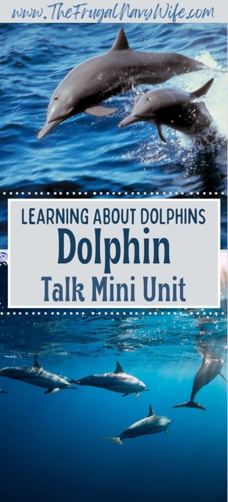 This unit study is all about learning about dolphins! Even better,  it includes two easy hands-on crafts to really engage your kids! #dolphins #unitstudy #homeschooling #frugalnavywife #learning #crafts #kids #printables #books | Homeschool | Learning About Dolphins | Book 