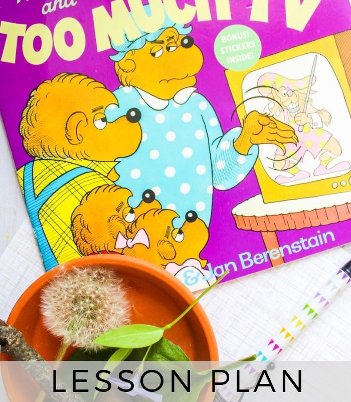 The Berenstain Bears and Too Much TV Lesson Plan