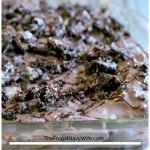 Oreo Dirt Pie is the most addicting thing in the world. Don't Believe me? Give it a try. This pie will leave you wanting more so make 2 just in case. #oreo #pie #chocolate #dessert #frugalnavywife | Dessert Recipes | Oreo Recipes | Pie Recipes | Chocolate Recipes | Chocolate Lovers | Poke Cake Recipes |
