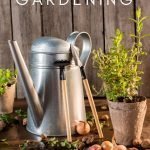 You can take these simple Great Depression Tricks for Gardening to help provide your family with quality food on a budget. #greatdepression #gardening #tricksforgardening #greatdepressiontricks #frugalnavywife | Gardening | Gardening Tricks | Great Depression Tricks | Gardening Tips