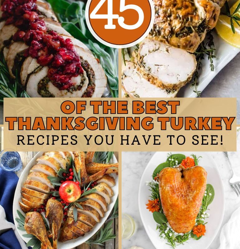 45 of the Best Thanksgiving Turkey Recipes You Have to See!