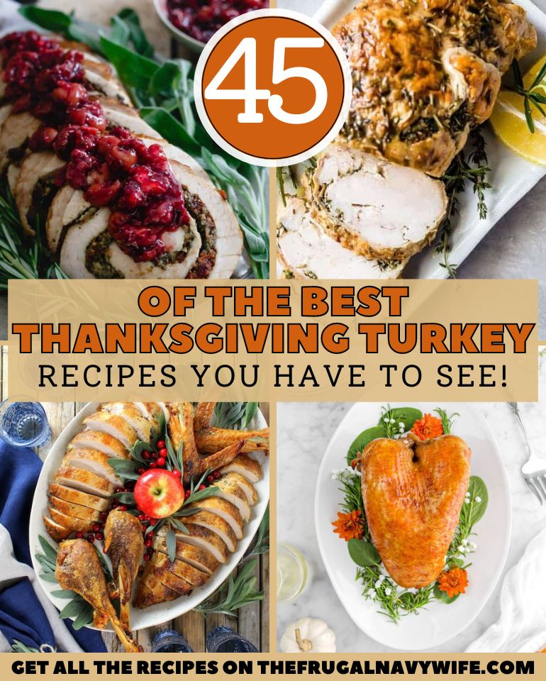 45 of the Best Thanksgiving Turkey Recipes You Have to See! - The ...