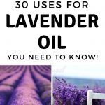 Here are some of the amazing uses for lavender oil can help with plus a bonus idea for parents! Jump on the bandwagon, you won't be sorry. #lavender #oils #naturalremedy #homeremedies #essentialoils #frugalnavywife | Uses for Lavender | Essential Oils | Lavender Oil Uses | Natural Remedies | Home Remedies