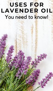 Here are some of the amazing uses for lavender oil can help with plus a bonus idea for parents! Jump on the bandwagon, you won't be sorry. #lavender #oils #naturalremedy #homeremedies #essentialoils #frugalnavywife | Uses for Lavender | Essential Oils | Lavender Oil Uses | Natural Remedies | Home Remedies