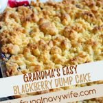 I have many dessert recipes but none are easier than Grandma's Easy Blackberry Dump Cake Recipe. Dump, mix, bake. Simple. 3 ingredients! YUM! #frugalnavywife #dumpcake #dumprecipe #desserts #easydesserts #grandmasrecipe #blackberryrecipe | Dump Cake Recipes | Easy Dessert Recipes | Cake Recipes | Fruit Recipes | 3 Ingredient Dessert Recipes | Grandmas Recipes | Dessert Recipes
