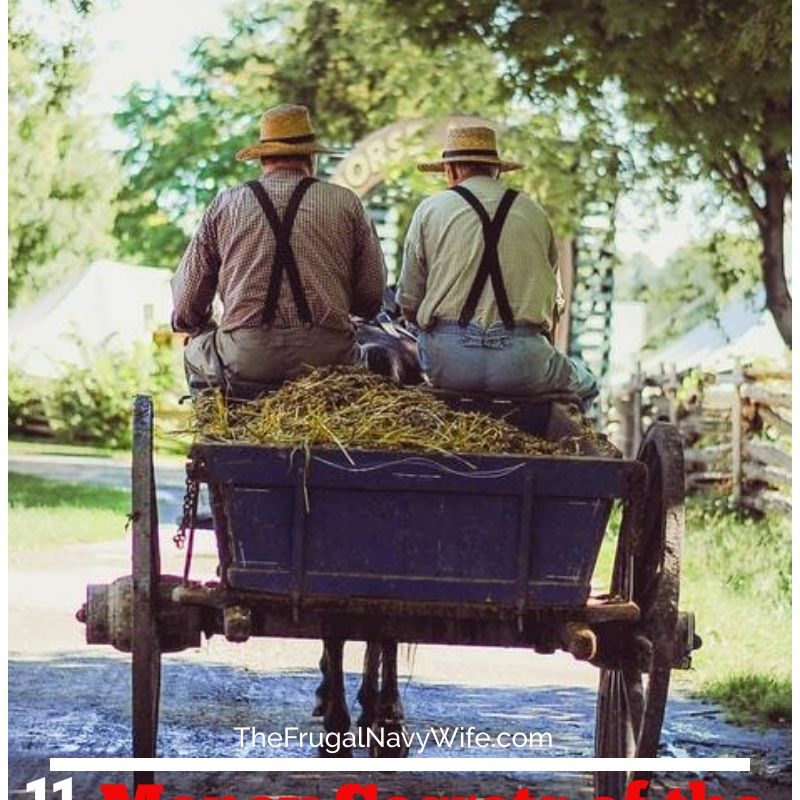 11 Money Secrets of the Amish – Things They Make Instead of Buy