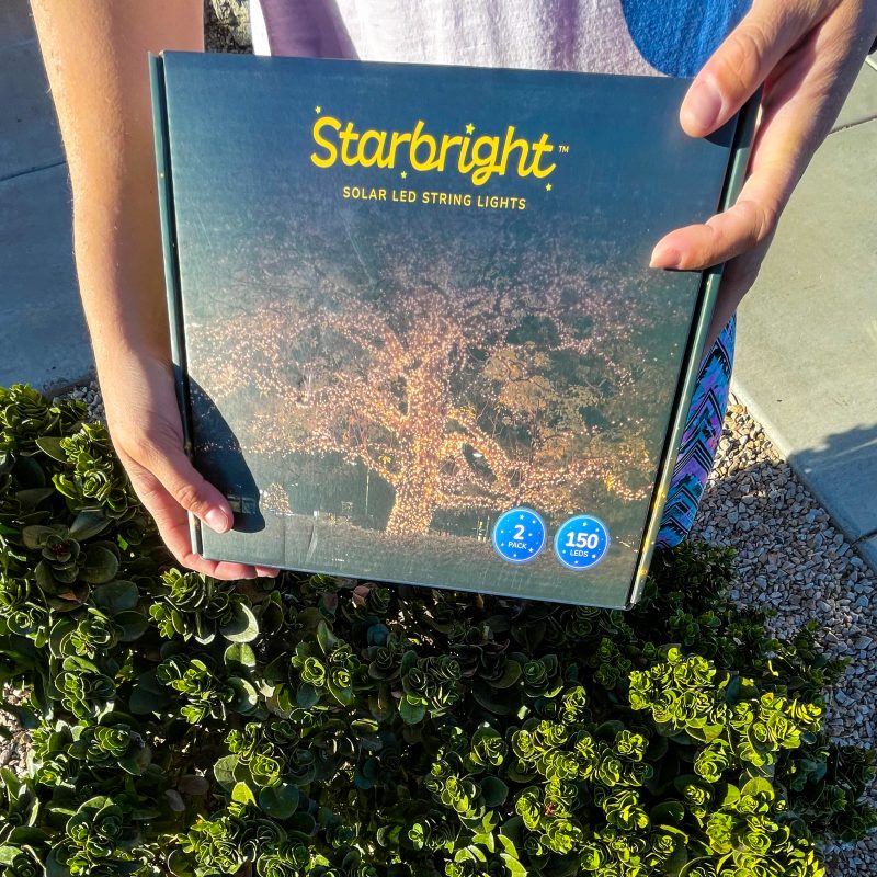 Illuminating the Yard Using Brightology Solar Paneled Light Fixtures