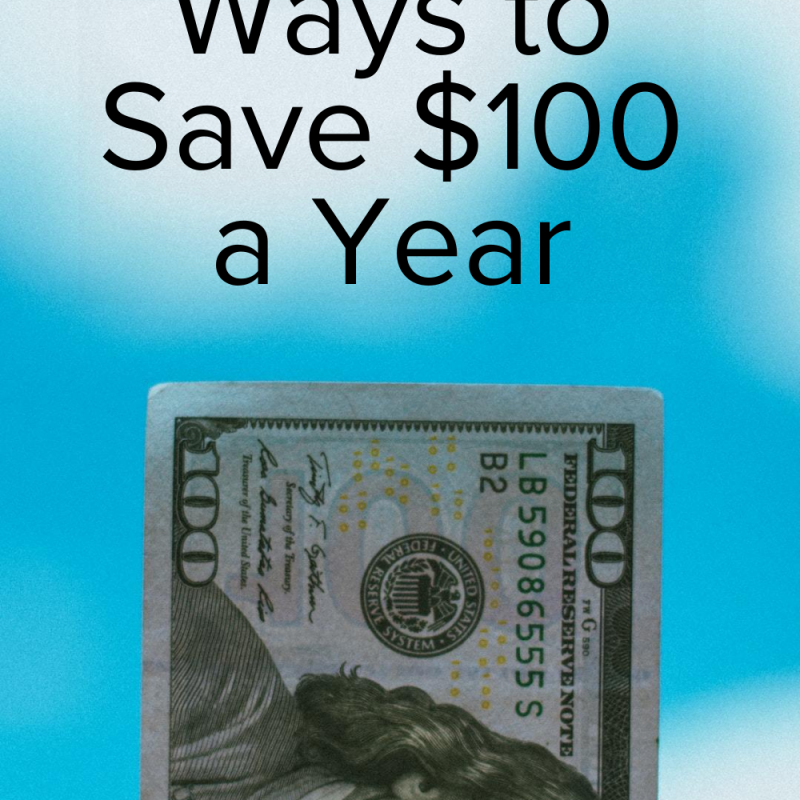 30+ Ways to Save $100 a Year