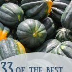 The aroma when cooking squash and other fall foods just sets the entire home in the fall spirit, here are some of our favorite Acorn Squash Recipes. #fall #acornsquash #frugalnavywife #roundup #recipes | Acorn Squash | Fall Recipes | Frugal Navy Wife | Roundup | Side Dishes |