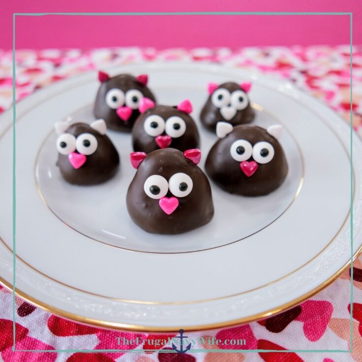 Chocolate Strawberry Love Birds for Valentine's Day