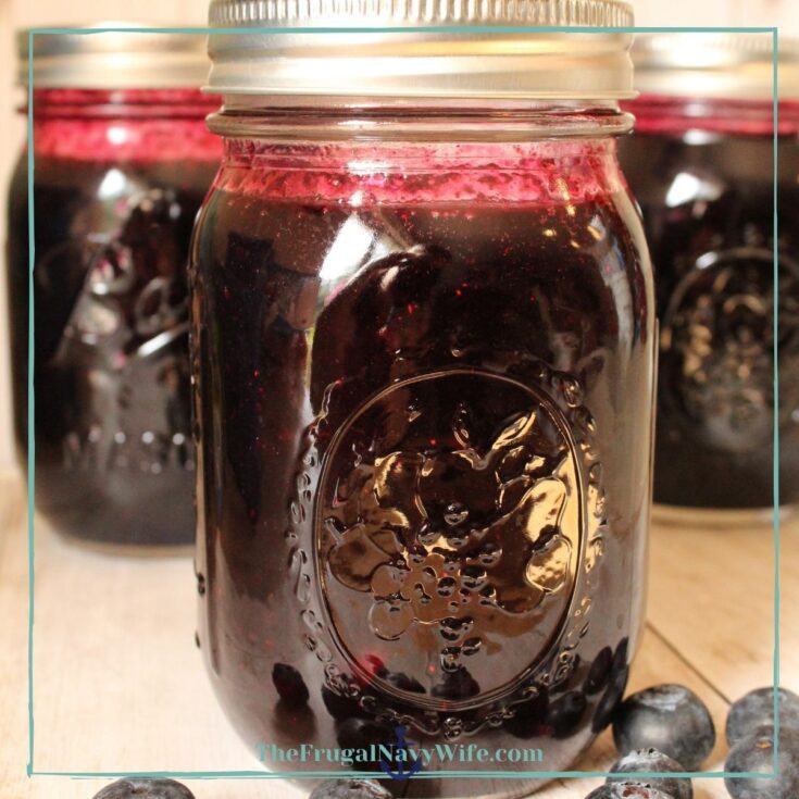 Freezer Blueberry Jam Recipe