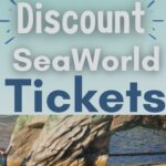 Check out how you can get your military family Seaworld tickets for free and some must-see things to enjoy while you're there! #militaryfamiles #seaworld #freetickets #frugalnavywife #familytravel #mustsee | Seaworld Vacation | Military Discount | Attractions | Aquariums | Family | Military |