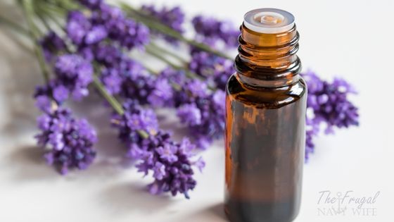 Germ-Killing Essential Oils You Need to Know - The Frugal Navy Wife