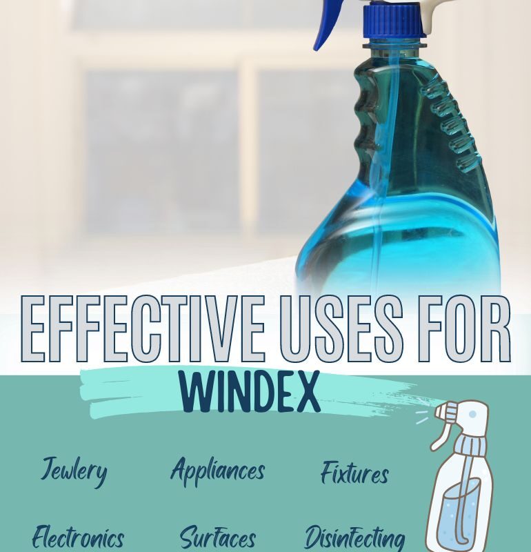 21 Effective Uses for Windex