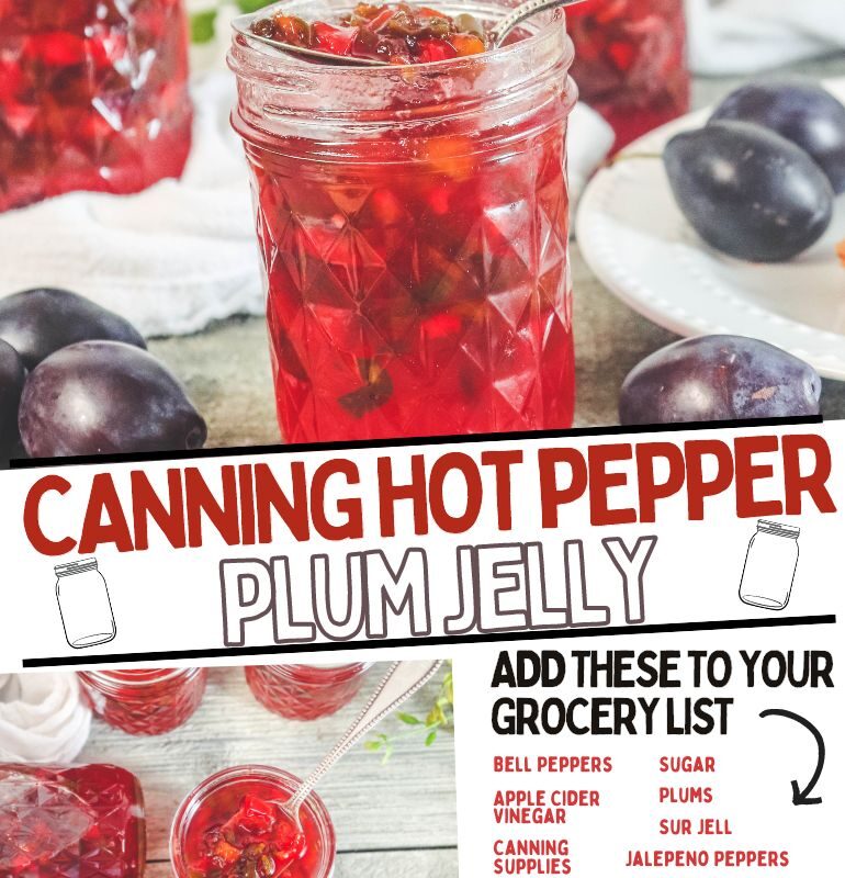 Canning Hot Pepper Plum Jelly