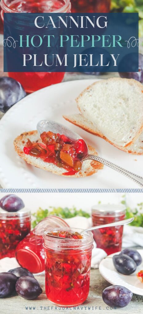 Canning hot pepper plum jelly is a unique condiment that blends the sweet and tart flavors of plums with the spiciness of jalapeno peppers. #hotpepper #plum #jelly #canning #frugalnavywife #canningrecipes | Hot Pepper Plum Jelly | Canning Recipes | Jelly Recipe | Condiment |