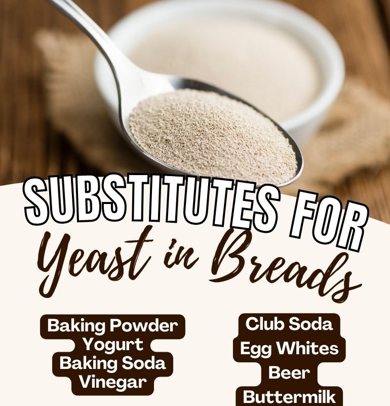 10 Substitutes for Yeast in Breads